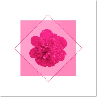 Pink Peony Flower in a Diamond Design Posters and Art